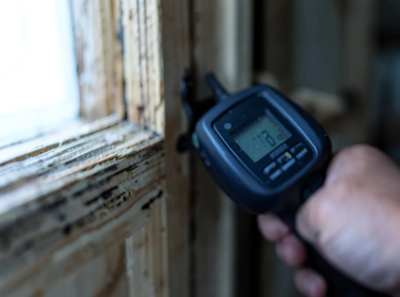 Commercial Water Damage Restoration in Ocklawaha, FL